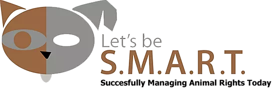 Let's Be S.M.A.R.T. Logo